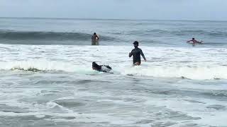 IMG 7664