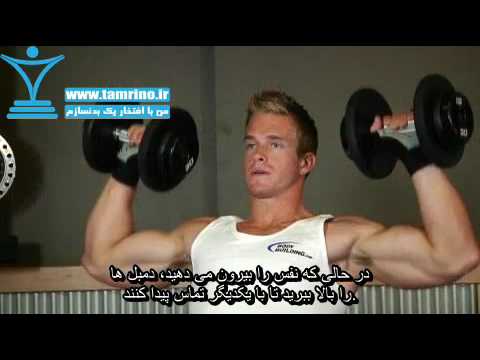 آموزش حرکت پرس شانه دمبل نشسته روی نیمکت پشتی دار   
