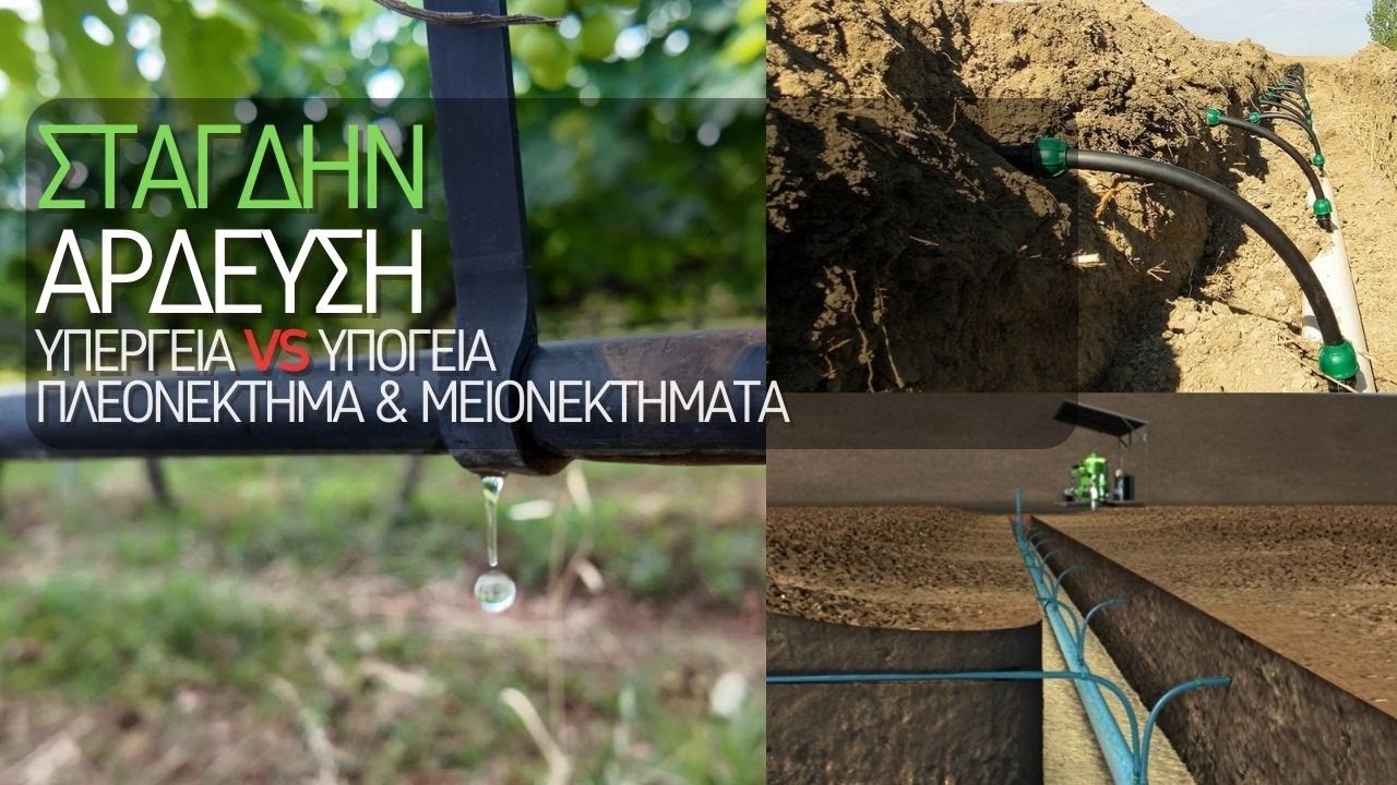 Στάγδην Άρδευση Στο Αμπέλια | Υπέργεια VS Υπόγεια - ΠΛΕΟΝΕΚΤΗΜΑ & ΜΕΙΟΝΕΚΤΗΜΑΤΑ