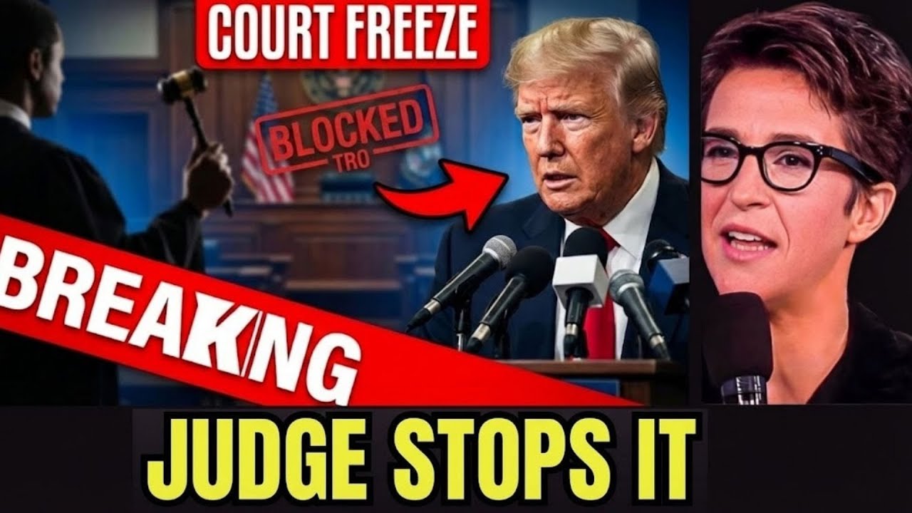 BREAKING: Federal Judge FREEZES Trump’s Emergency Order — The Injunction That Stops Everything