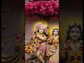 #satvikilife#morningprayer#spirituality#radharani#viralshort#ytshorts#radhakrishna