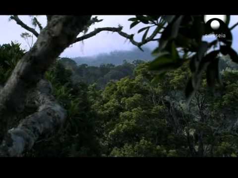 Colores, un universo por descifrar - La fuerza del color 1/4
