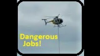 Helicopter Trimming Trees By Power Lines MD500 Sounds Transmission Air Saw blade Dangerous Jobs