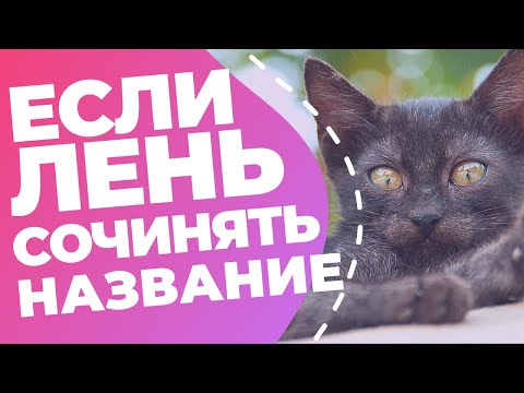 НАЗВАНИЕ — создаём автоматически // Онлайн-генераторы нейминга // Обзор сервисов