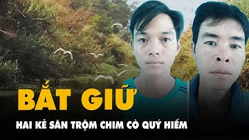Tạm giữ 2 người vào rừng U Minh Thượng bắt chim cò nguy cấp, quý hiếm