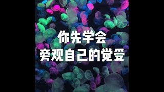 201401 你先学会旁观自己的觉受22061