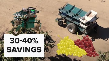 This electric grape cart is saving its farmers 30-40% in productivity!