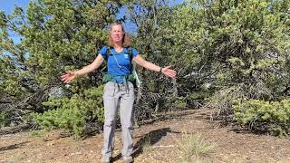 Pre-hike warm up dynamic stretches
