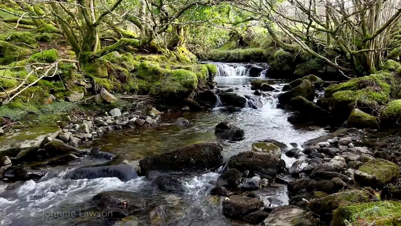 Relax 8 Hours-Relaxing Nature Sounds-Sleep-Natural Calming Water Sound-Forest  Bird Song-Waterfall - YouTube