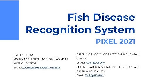 Fish Disease Recognition System - CAT400 Project