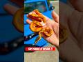 Get your sunglasses !! This SNAKE IS BRIGHT !!!!  #honda #civic #snakes #pets