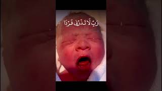 ربي لا تذر لي فردا ? | اسم القارئ اسلام صبحي