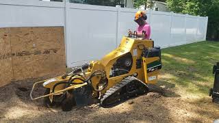 Vermeer SC30TX Stump Grinder removing a large oak stump