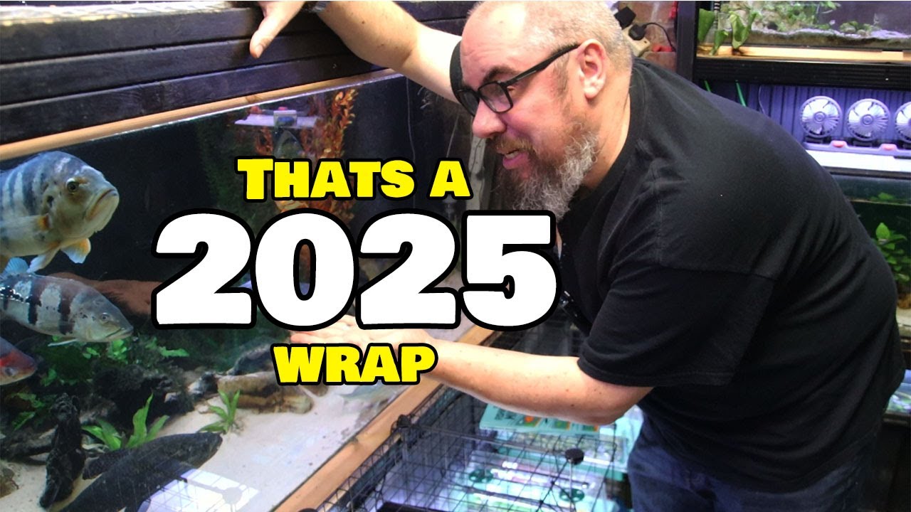 2025 Wasn't What I Expected... Here's What Actually Happened