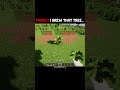 Minecraft how to grow a pig tree?..🐷