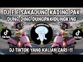 DJ E E SAKADUNG KADING PAK DUNG DING DUNGPAK DUNGKING | LAGU NYAMUK THAILAND VIRAL TIKTOK TERBARU