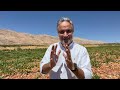 Wines Of Lebanon Our Great Lebanese Wineries And Grapes The World Has To Know Wines Of Lebanon Our Great Lebanese Wineries And Grapes The World Has To Know