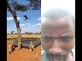 #animals #animalworld #duet #lifeisbutadream #funnyimages