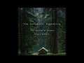 The Cinematic Orchestra To Build A Home Tarso Remix 