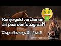 Kan je geld verdienen als professioneel paardenfotograaf met paarden fotoshoots?