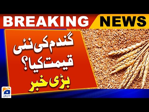 Wheat Price In Pakistan 2024 
