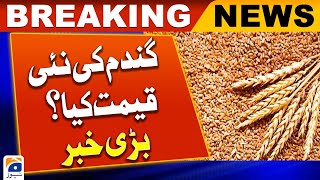 Wheat Price In Pakistan 2024 | Wheat Price Latest Updates