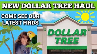 Must-see Dollar Tree Finds: 5/28/24 Haul!