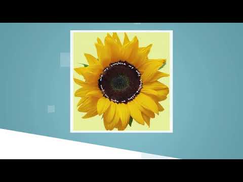 Ceramic Photo/Quote Tiles - Desktop Decoration Tiles - Tabletop Decor Tiles - Wall Hanging Tiles ...