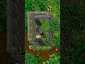 Tibia Time Boosted Series: Menacing Carnivor! #tibia #gaming #shorts