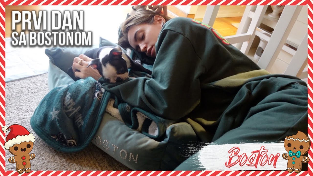 PRVI DAN SA BOSTONOM | Vlogmas 09