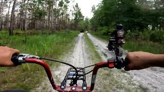 Mini Bikes on Florida Trails