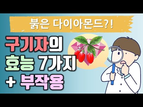 매스틱효능