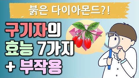 구기자 효능 7가지와 부작용, 먹는법 까지~ 알고 먹으면 약이됩니다.