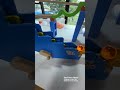 Marble Run and Cat Paws ☆ ASMR Video for Soothing and Laughter. Vol. 89
