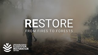 Mediterranean countries step up the fight for forests