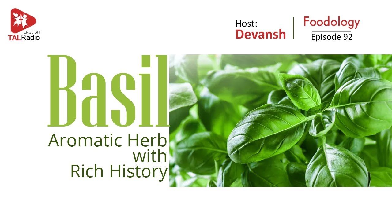 BASIL - Aromatic Herb with Rich History | Foodology - 92 | Devansh ...