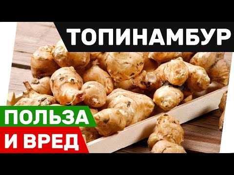 Топинамбур - Польза и вред