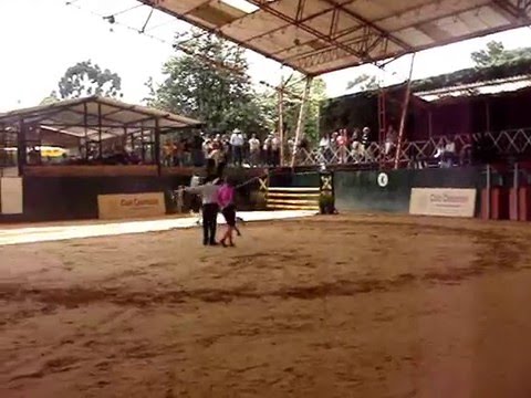 Presentacion Vaulting Colombia Country Club COREOG...