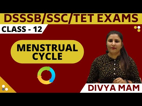 NCERT GALLERY | MENSTRUAL CYCLE - BIOLOGY  || BREIF EXPLAINATION || DIVYA MA&rsquo;AM || SSC , DSSSB