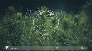 Kygo, Whitney Houston - Higher Love (Bass Boosted)