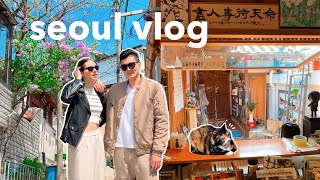 spring in korea 🍡 cute seoul neighborhood, CAT bookstore 📚🐈 traditional korean desserts | vlog