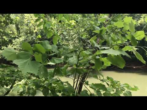 Ground Video 10 acres on Niangua River - InstantAcres.com - ID#RN17