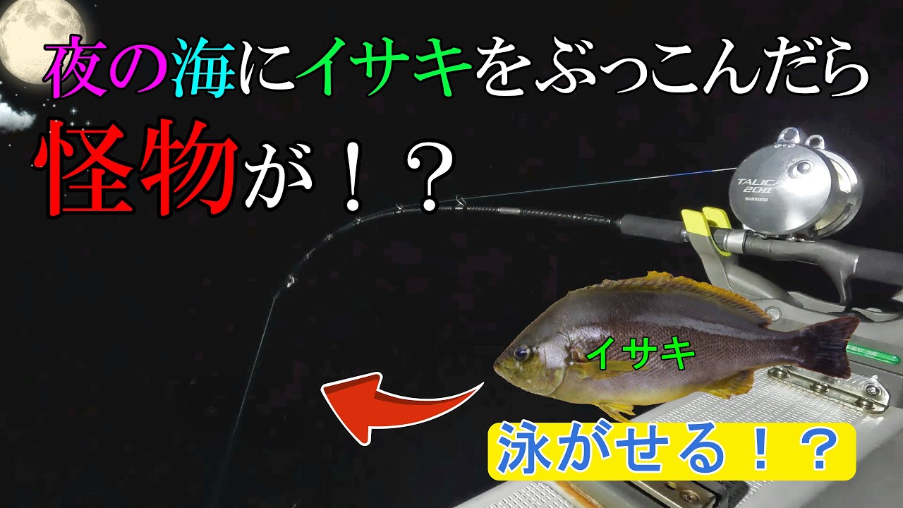 夜の海に船からイサキを泳がせたら化け物喰ってきた。