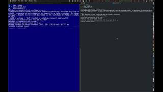 TERMINAL SHOOTOUT (STOCK VS GHOSTTY)