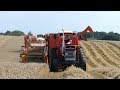 Massey Ferguson 165X Harvesting w/ Dronningborg D600 & D950 | Danish Agriculture