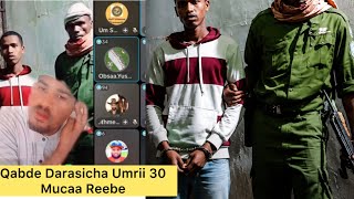 Gurban Darasicha Mucaa Xiiqaa Akka Maleti Reebe Tohanno Seera Jala Oole