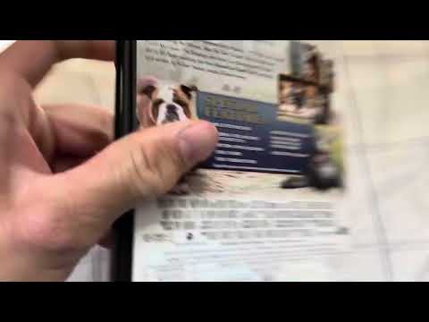 The Water Horse Legend Of The Deep 2007 DVD Review