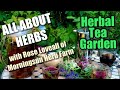 88 herbal tea garden  morningsun herb farms 8series all about herbs with rose loveall