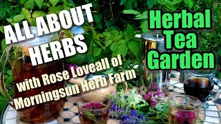 88 Herbal Tea Garden - Morningsun Herb Farms 8-Video Series All About Herbs With Rose Loveall