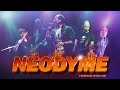 Neodyme  money for nothing  dire straits cover
